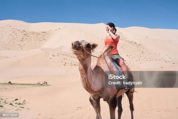 Foto de Jovem Mulher Usando O Telefone Em Camelo e mais fotos de stock de Camelo - Camelo, Camelo - Camelídeos, Laptop