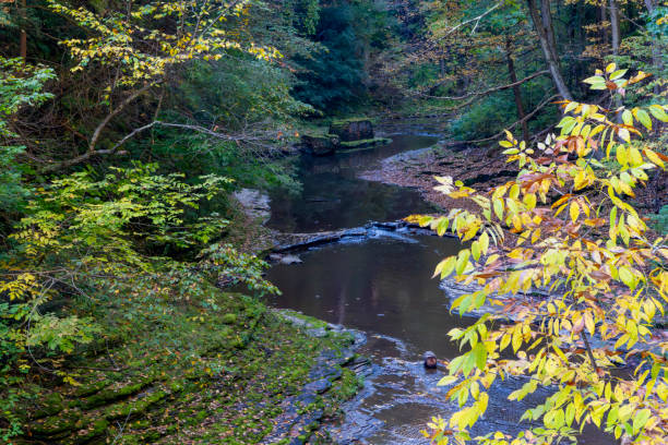istock Autumn in Watkins Glen State Park 1837737073