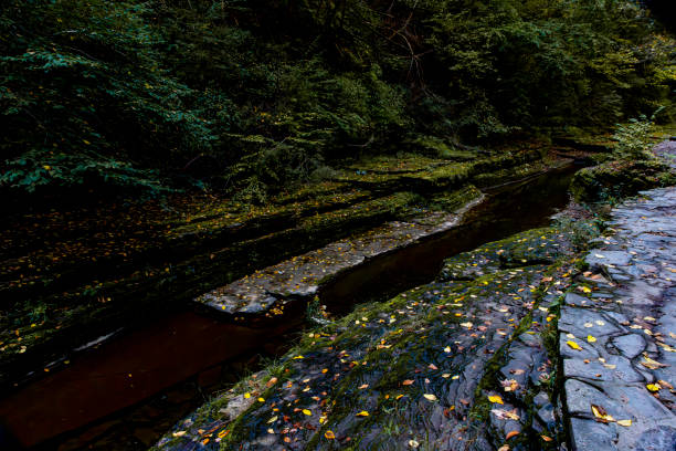 Autumn in Watkins Glen State Park, near Seneca Lake, New York State, USA.