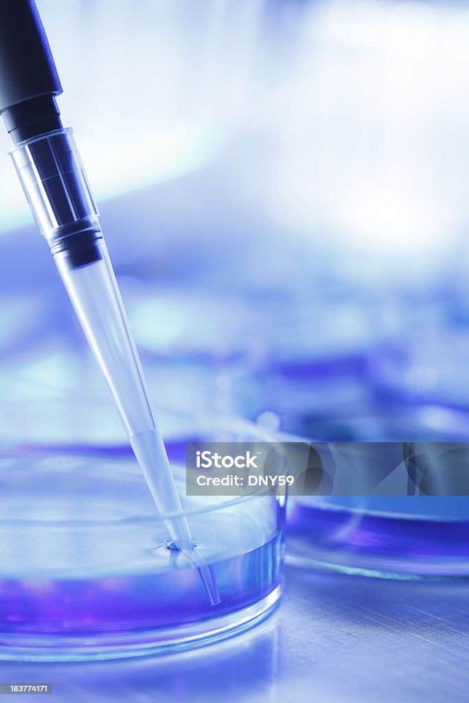 Investigação científica - Foto de stock de Biotecnologia royalty-free