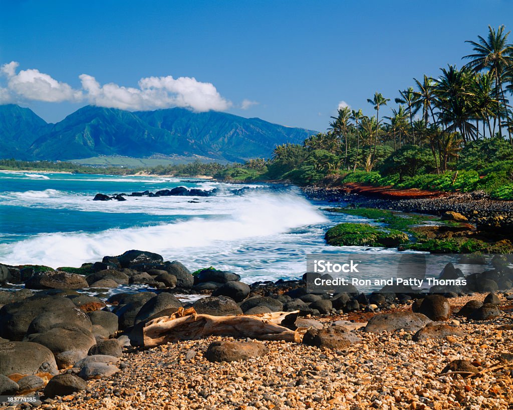 Litoral de las islas de Hawai - Foto de stock de Agua libre de derechos