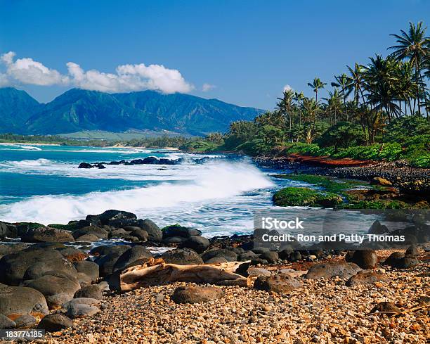 Litoral De Las Islas De Hawai Foto de stock y más banco de imágenes de Agua - Agua, Aire libre, Aislado