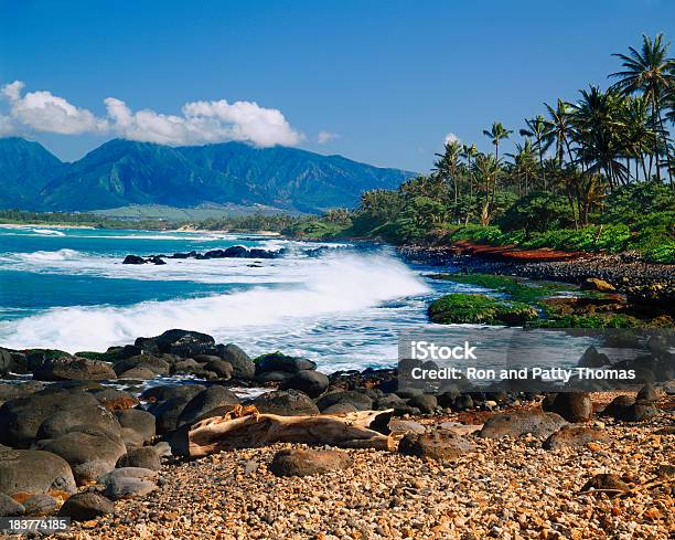 Isole Hawaii Costa - Fotografie stock e altre immagini di Acqua - Acqua, Albero, Albero tropicale