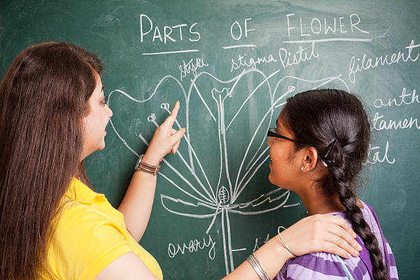 Indian School Teacher showing Flowers Chalk Drawing to Girl Student Indian School Teacher showing Flowers Chalk Drawing to Girl Student indian teacher stock pictures, royalty-free photos & images