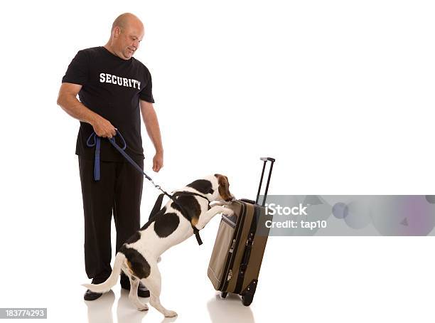 보안 Sniffer 경견 세관원에 대한 스톡 사진 및 기타 이미지 - 세관원, 공항, 보안 요원