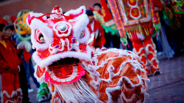 chinesische drachentanz - chinesisches neujahr fotos stock-fotos und bilder