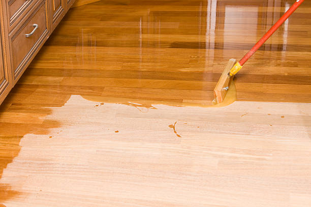 istock Squeegee Style Brush Applying Clear Polyurethane to Hardwood Floor 183775025