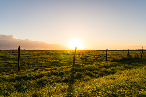 Sunrise over a flat meadow at the baltic sea near Greifswald with a fence in the foreground