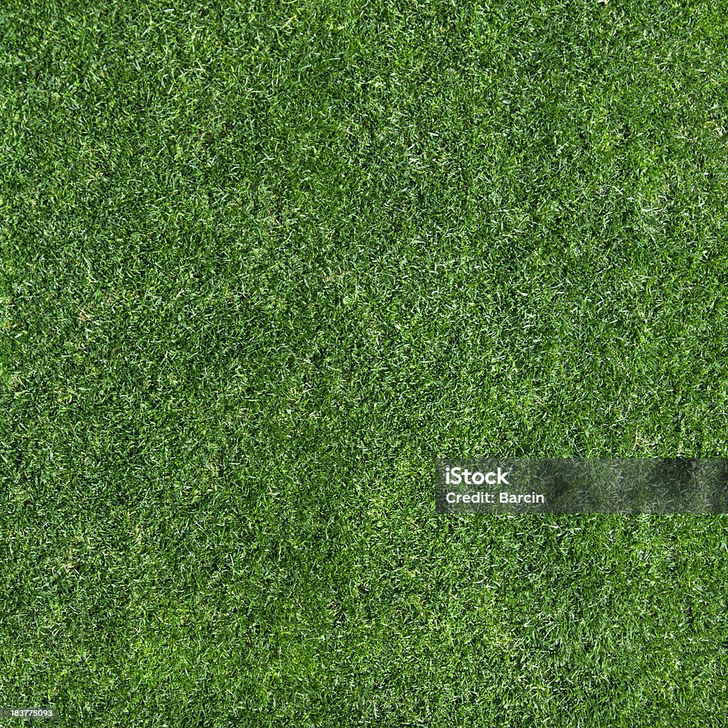 Grüne Gras Textur - Lizenzfrei Bildhintergrund Stock-Foto