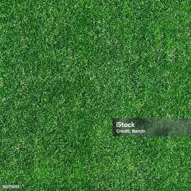 Grüne Gras Textur Stockfoto und mehr Bilder von Bildhintergrund - Bildhintergrund, Draufsicht, Farbbild