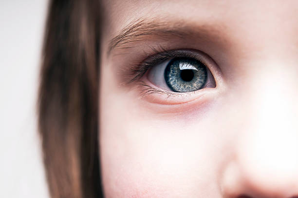 A close up of a little girl's blue eye stock photo