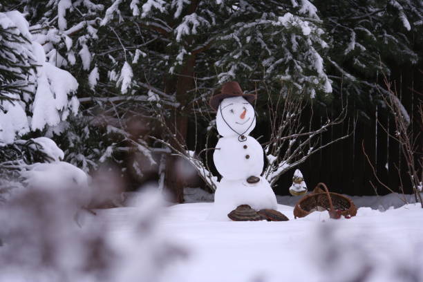istock Snowman in the garden 1837758222