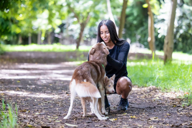 istock Young woman petting her dog 1837758237