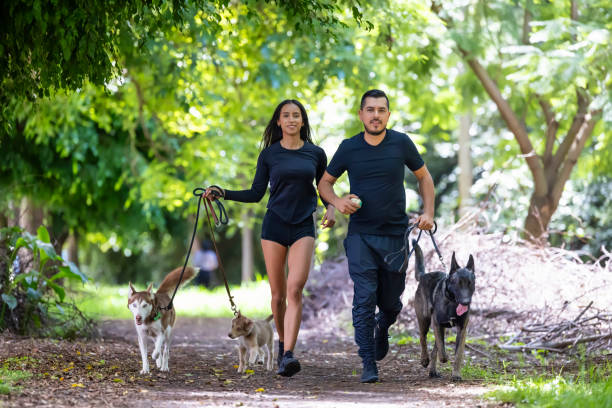 Free Stock Photo of Couple walking dogs in nature | Download Free ...