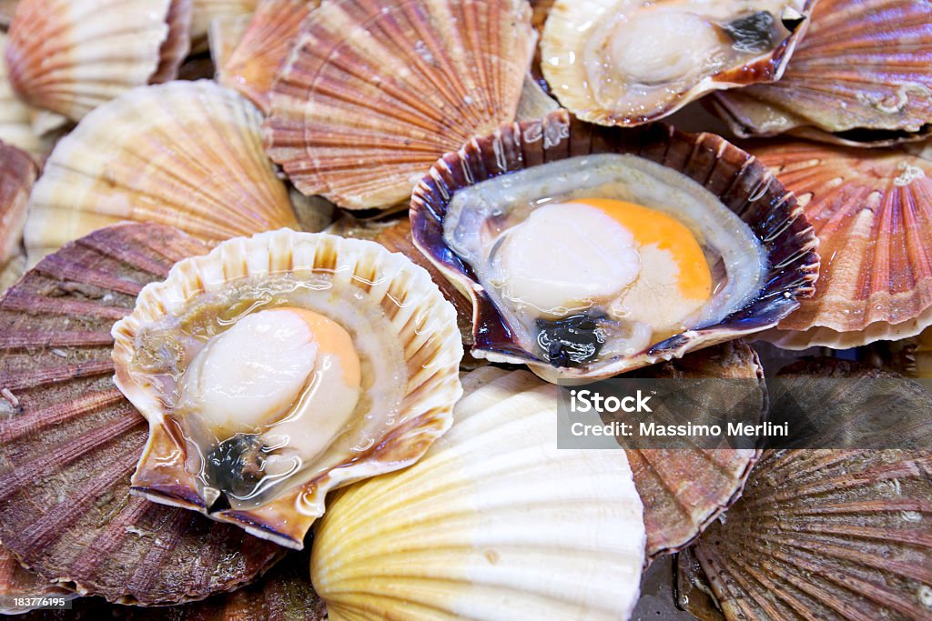 Jakobsmuscheln - Lizenzfrei Jakobsmuschel Stock-Foto