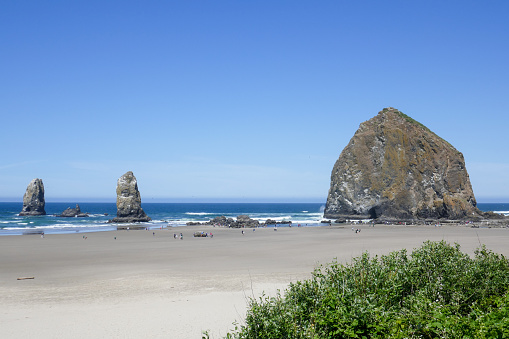 The Haystack Rock. a monolith, is the third-tallest intertidal structure in the world. The tidal pools around are home of many intertidal animals.