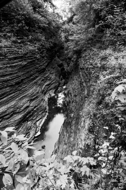 istock Autumn in Watkins Glen State Park 1837776855
