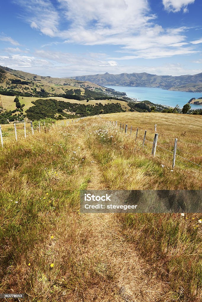 Gehweg zum Hafen von Akaroa, Neuseeland - Lizenzfrei Agrarbetrieb Stock-Foto
