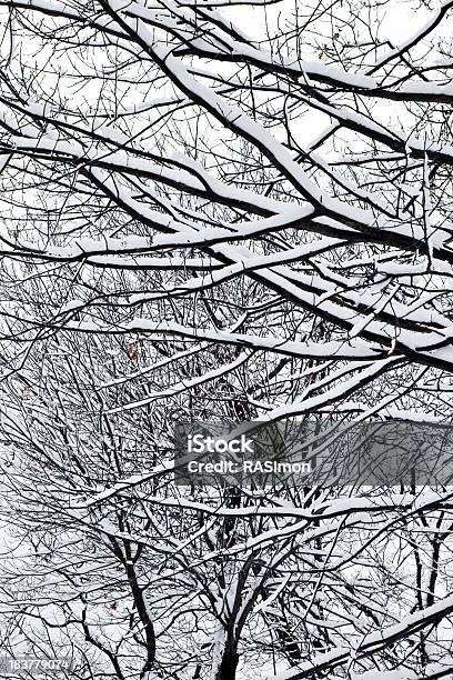 Снег С Сетчатыми — стоковые фотографии и другие картинки Без людей - Без людей, Белый, Вертикальный