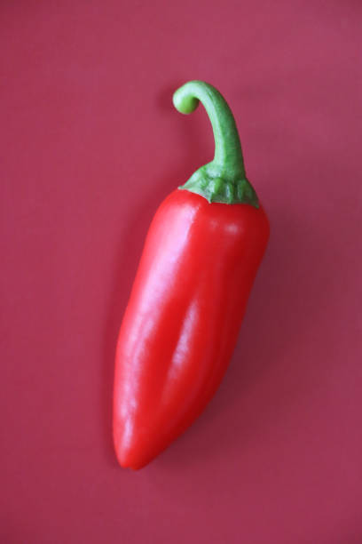 istock Close-up image of individual, red mini peppers (Capsicum annuum), red background, elevated view 1837791890