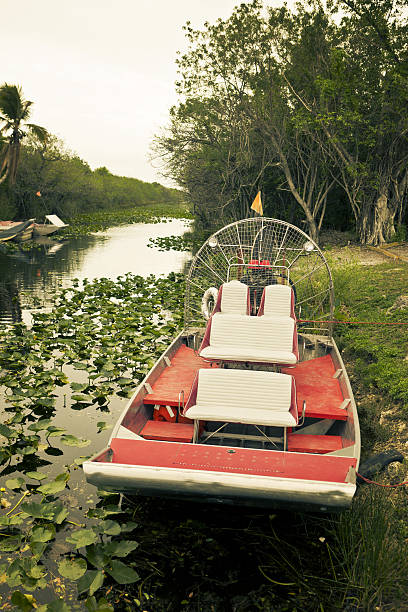 istock small air boat in the florida everglades 183779213
