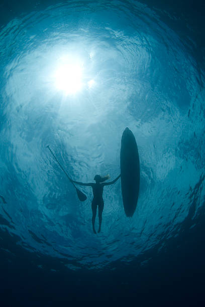 istock woman with surfboard and paddle 183779412