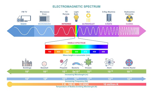 Electromagnetic Spectrum infographic. Physics educational poster. Diagram of wave structure, wave length, frequency and temperature. Cartoon flat vector illustration on white background