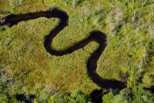 istock Aerial View of a Serpentine River 183780373