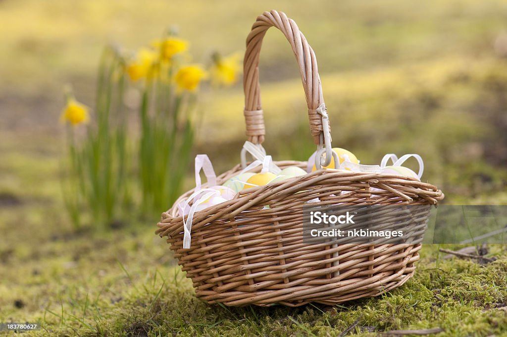 image horizontale de Panier de Pâques et de jonquilles de l'air - Photo de Arbre en fleurs libre de droits