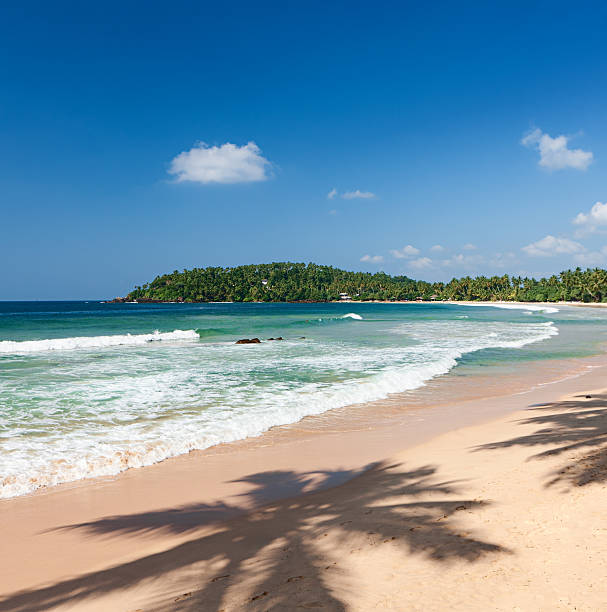 Tropical paradise idyllic beach. Sri Lanka http://bem.2be.pl/IS/rajasthan_380.jpg