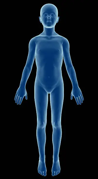 Photo of Human body of a child for study, model boy.