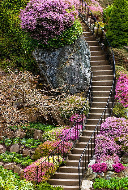 escaliers au printemps - buchart gardens photos et images de collection