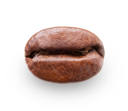 Coffee bean. To see more Coffee images click on the link below: