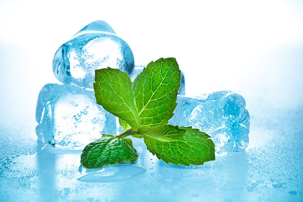 cool mint  mint leaf culinary stock pictures, royalty-free photos & images