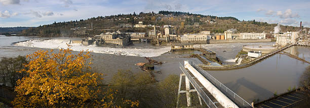 istock Industrial Paper Mill On Large River 183783350