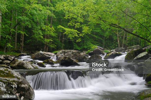 Cascata Di Tremont Al Parco Nazionale Great Smoky Mountains - Fotografie stock e altre immagini di Fumo - Materia