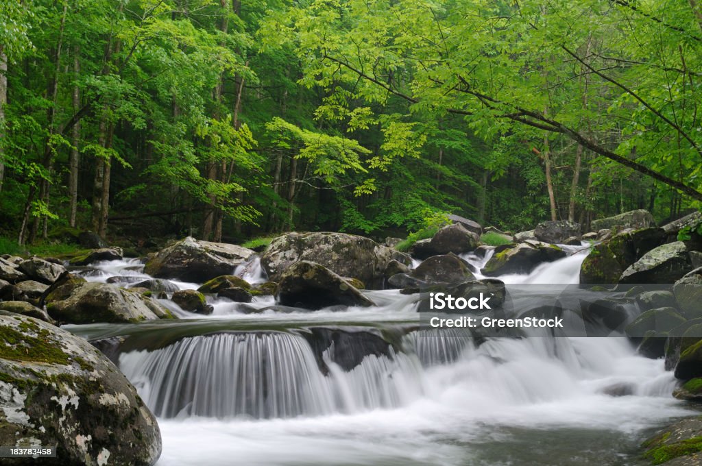 Kaskada w Tremont w Park Narodowy Great Smoky Mountains - Zbiór zdjęć royalty-free (Dym)