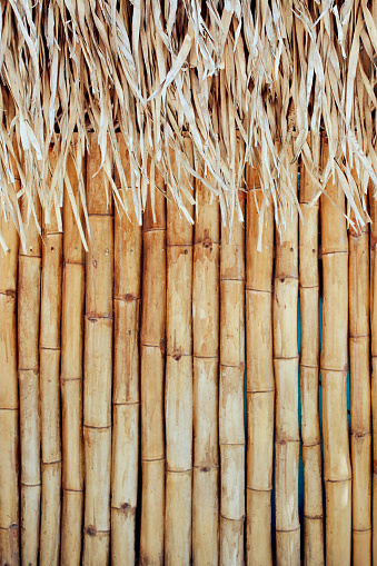Straw hut background. Focus on straw roof.more images from the
