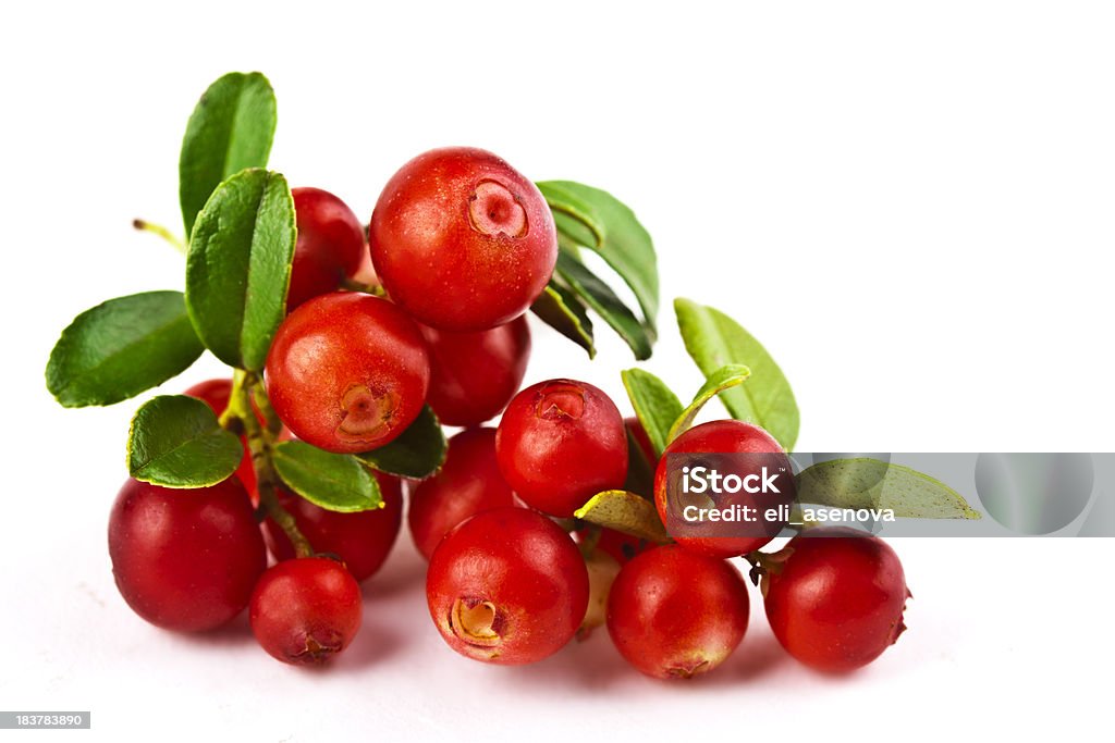 Cranberries sobre blanco - Foto de stock de Arándano rojo - Fruta baya libre de derechos