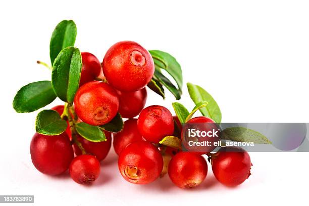 Cranberries Sobre Blanco Foto de stock y más banco de imágenes de Arándano rojo - Fruta baya - Arándano rojo - Fruta baya, Fondo blanco, Recortable