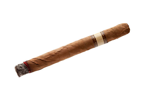 Cigar on white background Cigar on white background cigar photos stock pictures, royalty-free photos & images