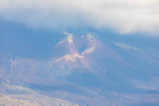 Palma volcanic Eruption. El Paso.\n\nBurnt trees, and ashes.