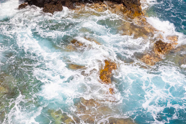 istock La Palma coastal views, Canary Islands 1837840681
