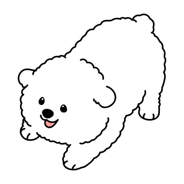 Vector illustration of Simple and cute illustration of Bichon Frise being playful
