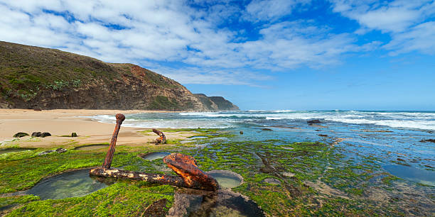 istock Rusty anchor on the beach, Great Ocean Road, Victoria, Australia 183784228