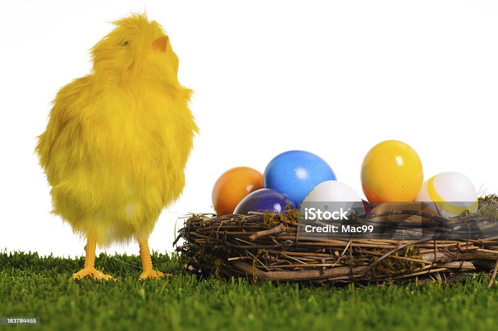 Ostern Huhn - Lizenzfrei Bunt - Farbton Stock-Foto