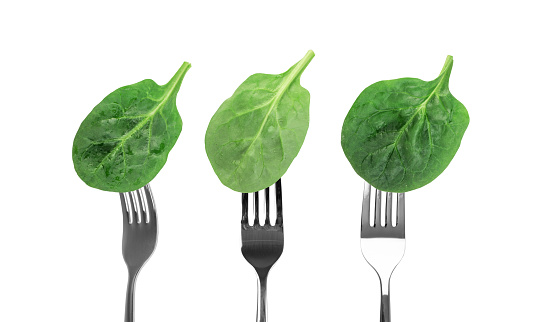 Fresh Baby Spinach Leaves Isolated on Forks. Spinacia Oleracea or Leafy Green Vegetable with