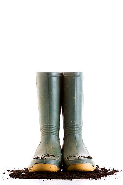 istock Gardening boots sitting in dirt with white background 183784790