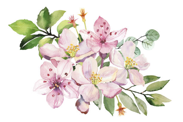 istock Watercolor spring sakura pink flowers and leaves branch 1837856998