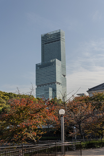 Abeno Harukas Tower Captured from Tennoji Park, Osaka, Japan，2023-11-09